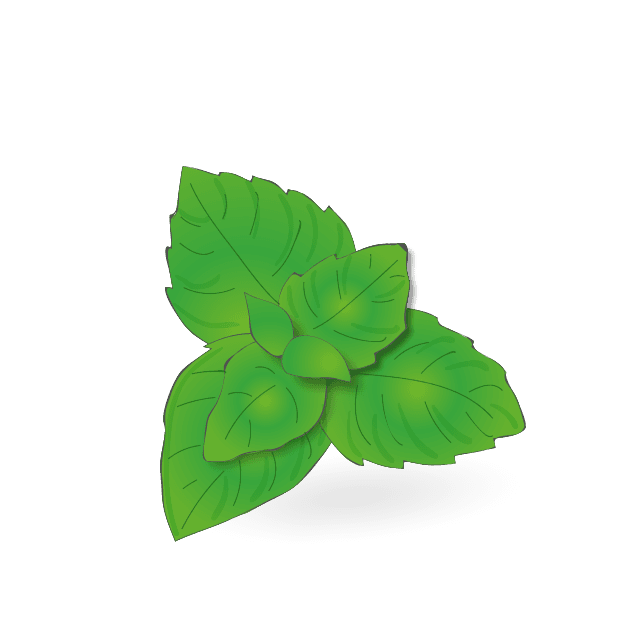 MENTHE
