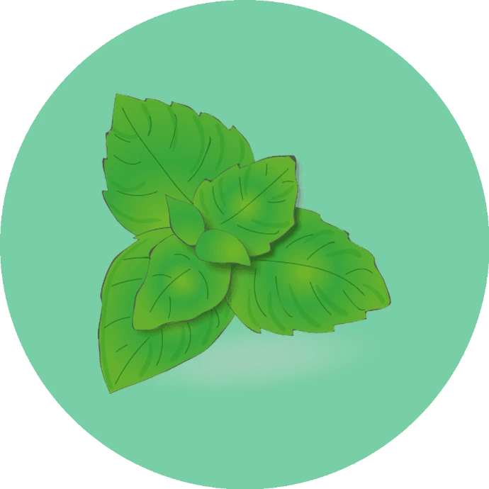 e-liquide-menthe