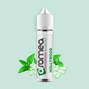 E-liquide Hollywood 50ml - Aromea